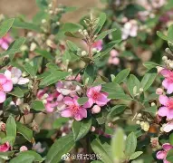 关于?錀資ㄡ溰塨舮?-爱游戏网站